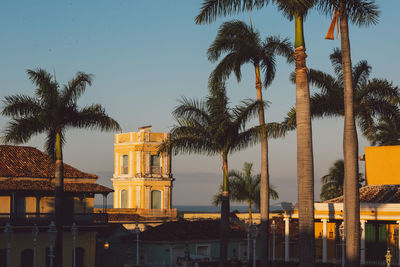 Palm trees by building against sky during sunset