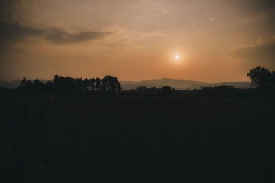 Silhouette trees on field against sky during sunset