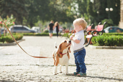 Full length of boy with dog on street