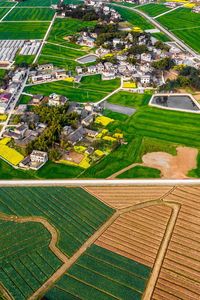 High angle view of agricultural field