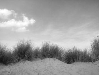 Scenic view of sand dunes against sky