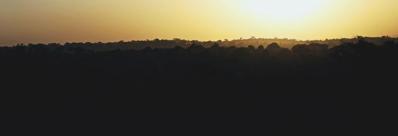 Silhouette trees against sky during sunset