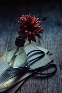 Gerbera daisy in light bulb with books on wooden table