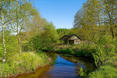 Abandoned cabin