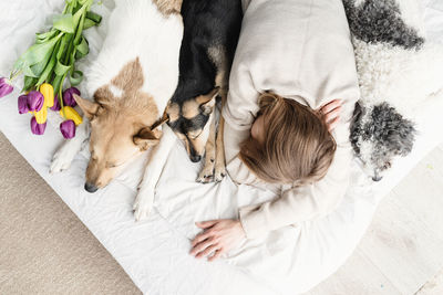 Sleeping young woman wearing pajamas lying in the bed with her dogs, top view