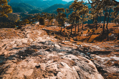 Scenic view of mountains