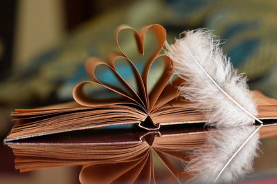 Close-up of open book and feather on table