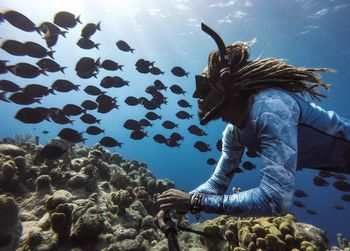 View of fishes swimming in sea