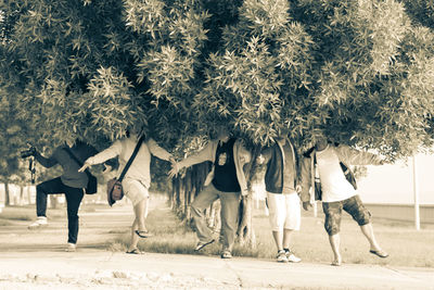 Panoramic view of people walking on tree