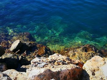 Aerial view of sea