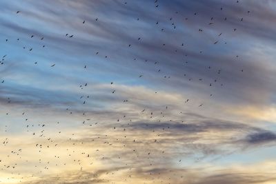sky