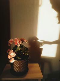 Close-up of potted plant on table at home