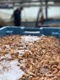 Close-up of food for sale at market