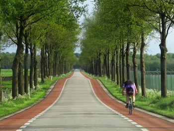 Rear view of man cycling on road amidst trees