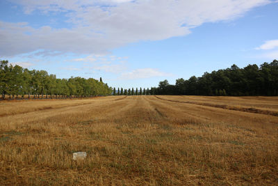 Scenic view of field against sky