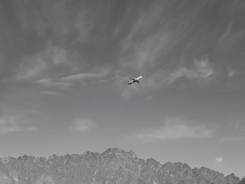 Low angle view of bird flying against sky