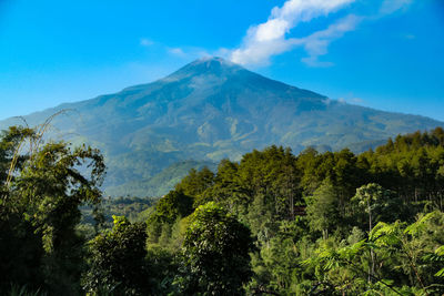 Scenic view of mountains against blue sky