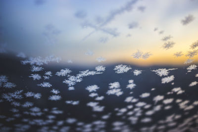 Full frame shot of tree during winter