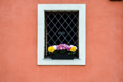 Flowers window