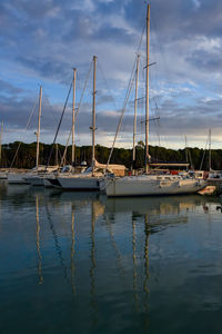 Sailboats moored at harbor