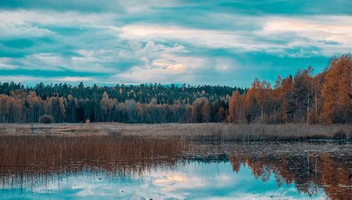 Scenic view of lake by trees against sky