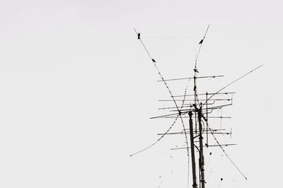 Low angle view of power lines against sky