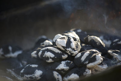 High angle view of black coffee on rock