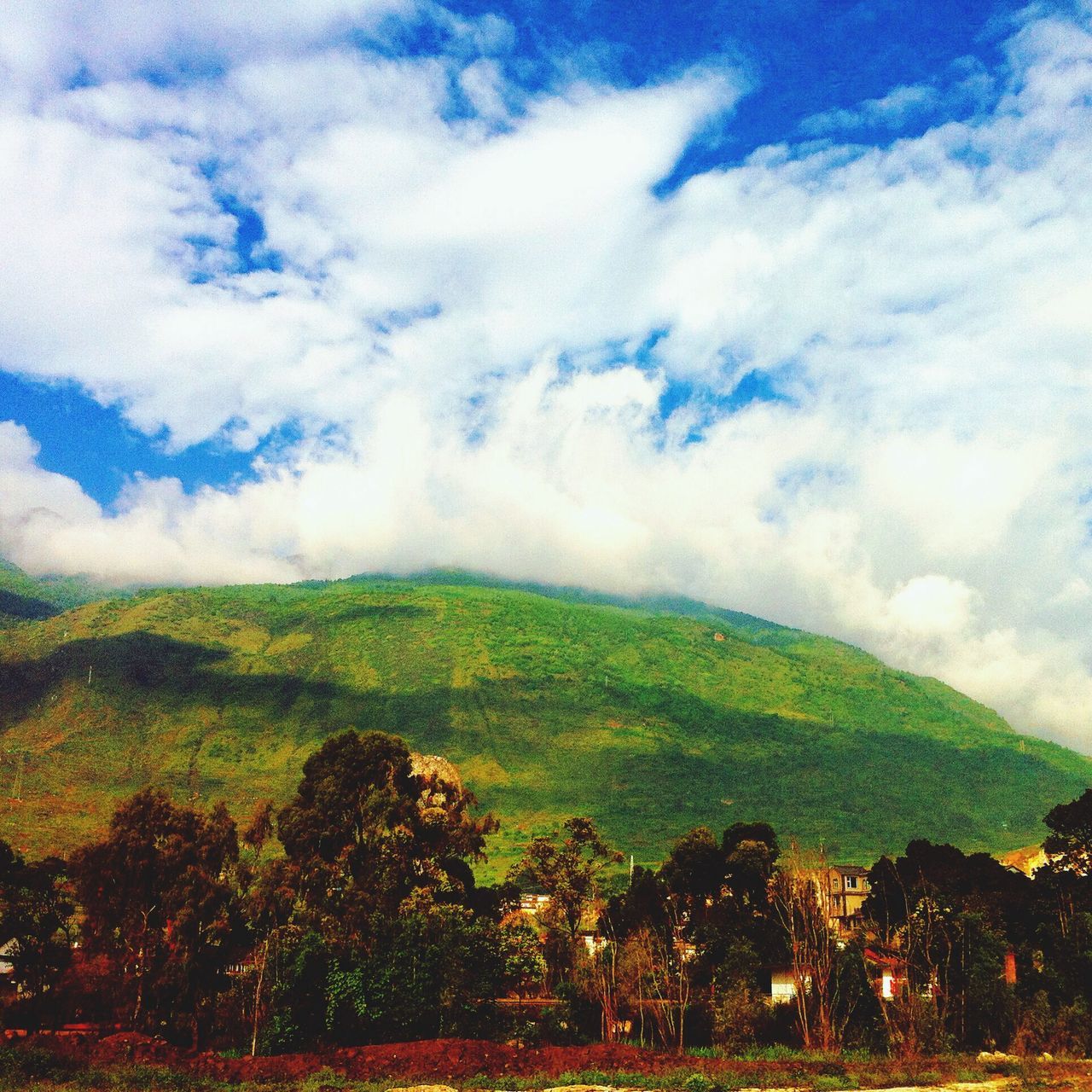 landscape, sky, tranquil scene, tranquility, scenics, tree, beauty in nature, cloud - sky, field, nature, growth, cloudy, green color, grass, cloud, idyllic, rural scene, non-urban scene, mountain, agriculture