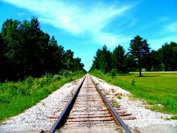 Railroad track amidst trees