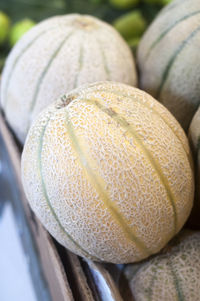 Close-up of melons at market for sale