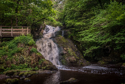 Scenic view of waterfall in forest