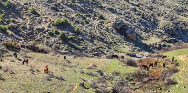 Scenic view of landscape