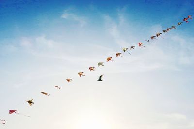 Low angle view of birds flying against sky