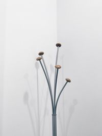 Close-up of electric lamp