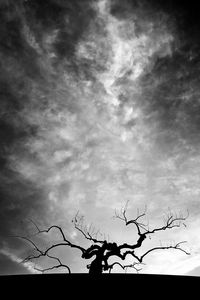 Low angle view of silhouette bare tree against sky