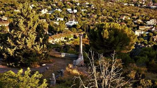 High angle view of trees and buildings in city