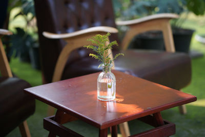Close-up of potted plant on table