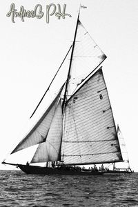 Sailboat sailing on sea against clear sky