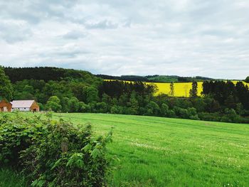 Scenic view of field against sky