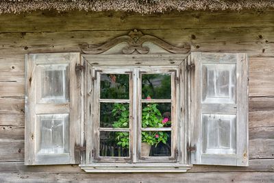 Window of old building