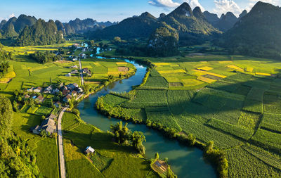 High angle view of agricultural field