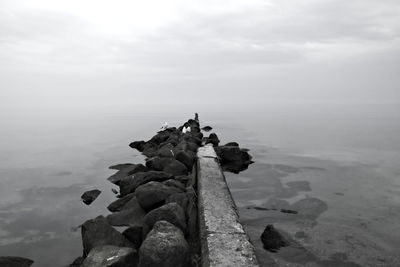 Seagulls perching on groyne in sea against sky