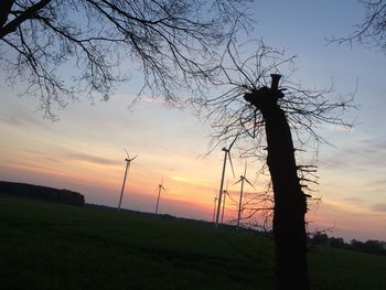 Low angle view of silhouette tree against sky at sunset