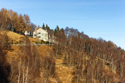 Trees and houses against sky