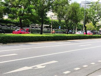 Road by trees in city