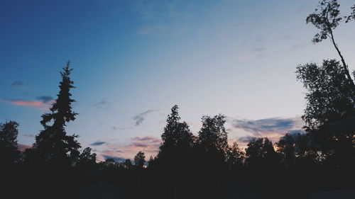 Low angle view of silhouette trees against sky