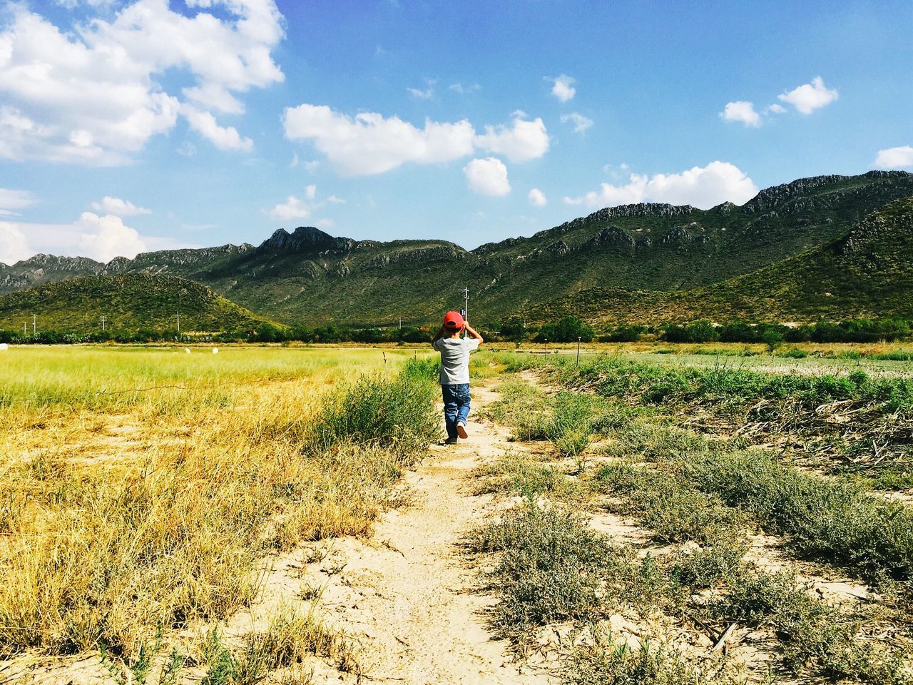 full length, lifestyles, leisure activity, rear view, sky, landscape, casual clothing, grass, field, mountain, tranquil scene, tranquility, walking, nature, standing, scenics, beauty in nature, cloud - sky