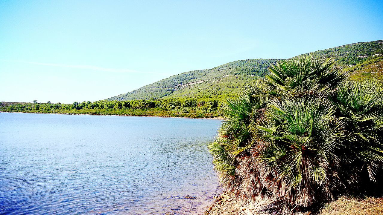 clear sky, mountain, tranquil scene, tranquility, blue, water, scenics, beauty in nature, copy space, nature, growth, tree, plant, landscape, idyllic, non-urban scene, sunlight, day, lake, sky