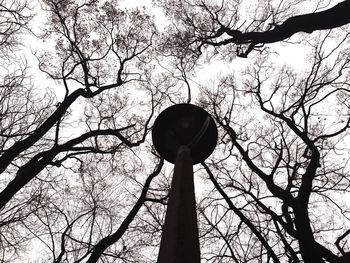 Low angle view of bare trees against sky