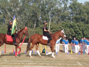 Group of people riding horses